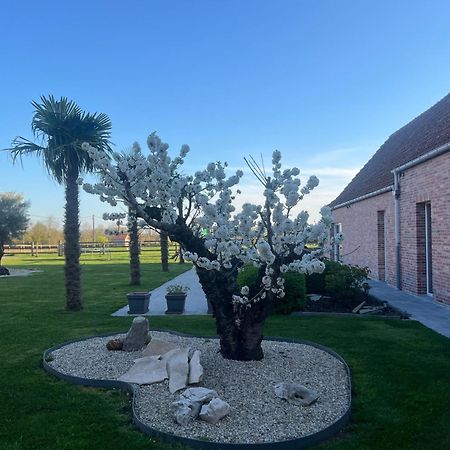 B&B Deso Zonnebeke Zewnętrze zdjęcie